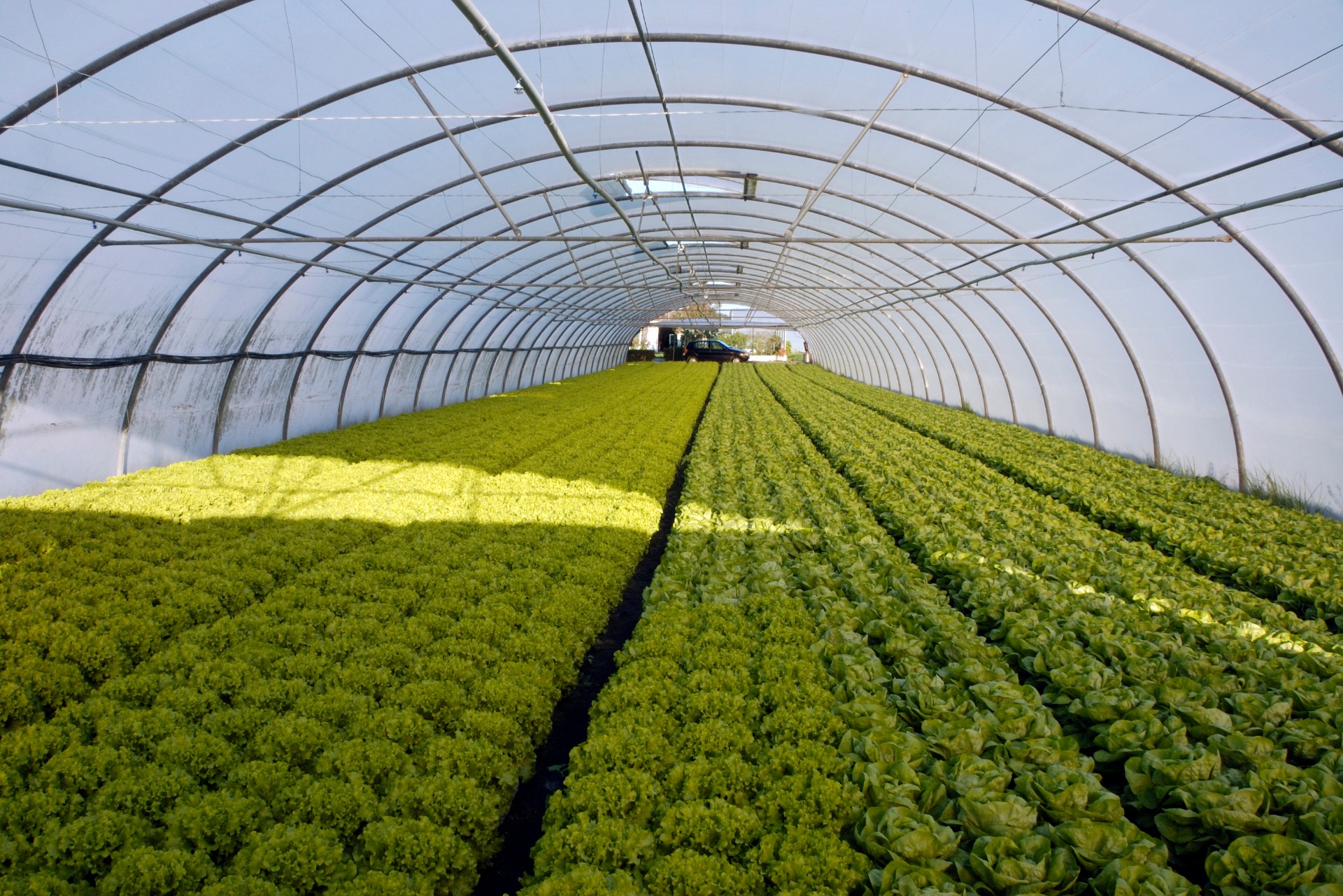 Θερμικήπιο