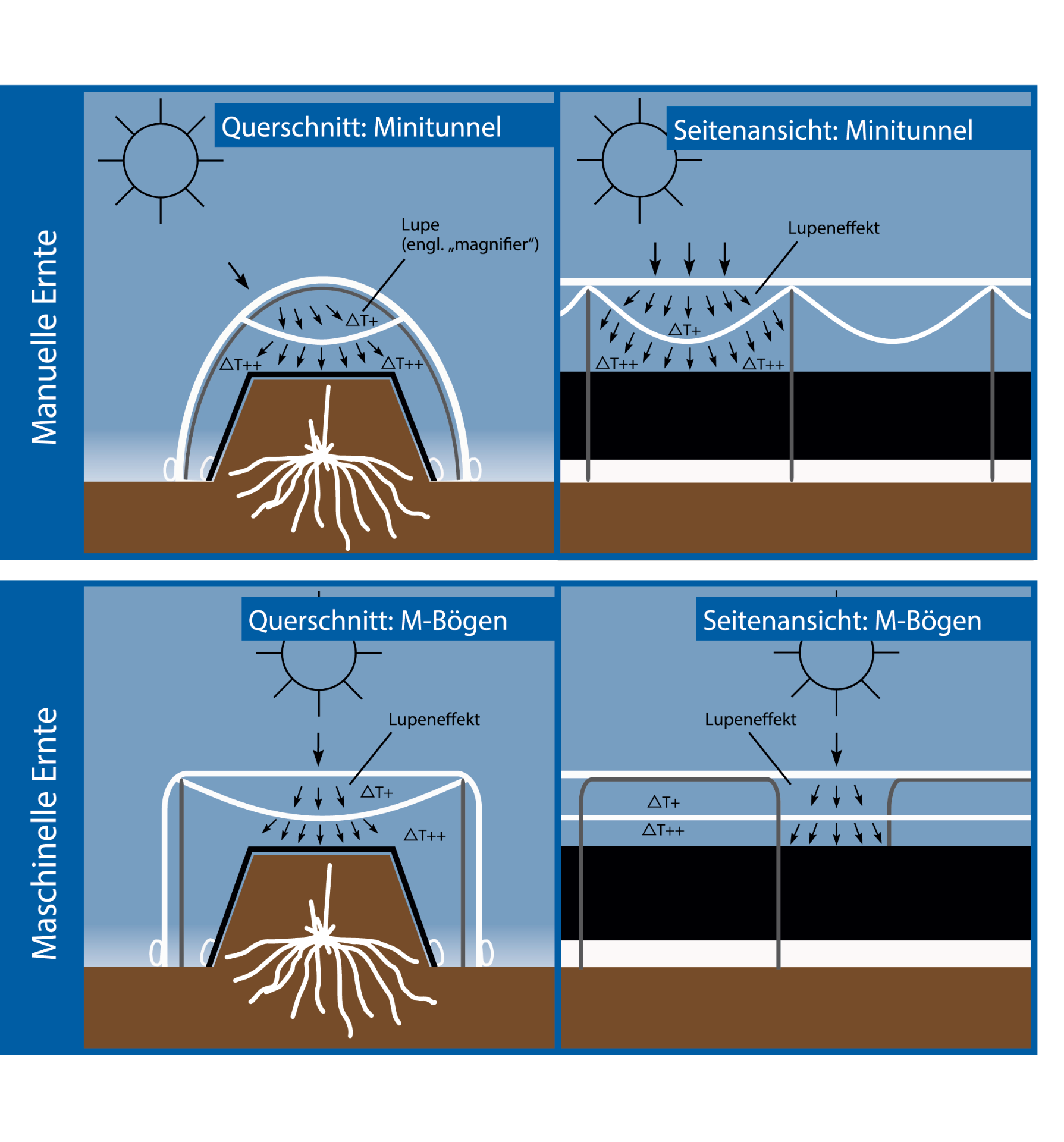 EHMO X Treme Magnifier